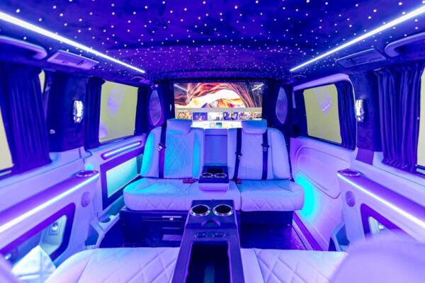 vip1