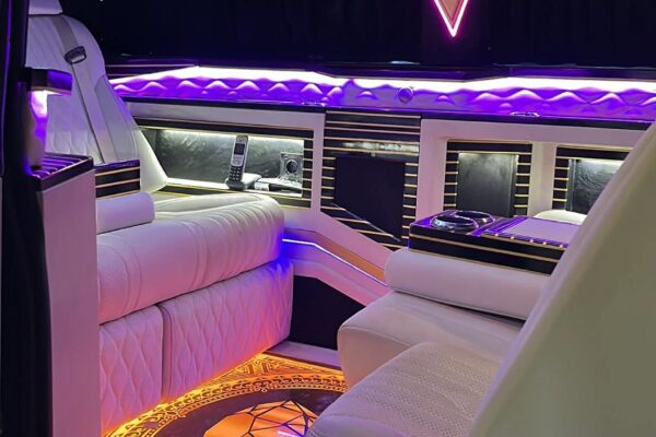 vip2