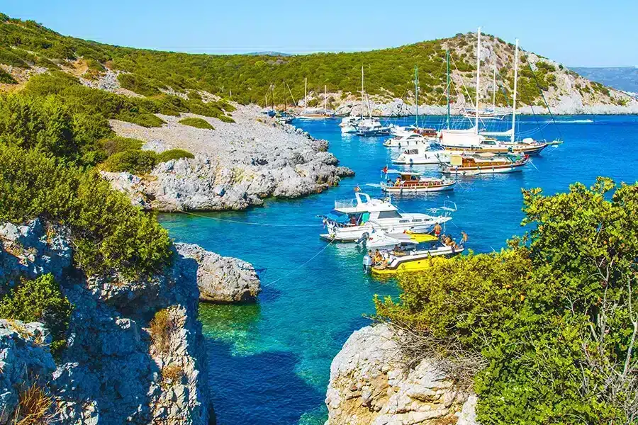 Bodrum VIP transfer
